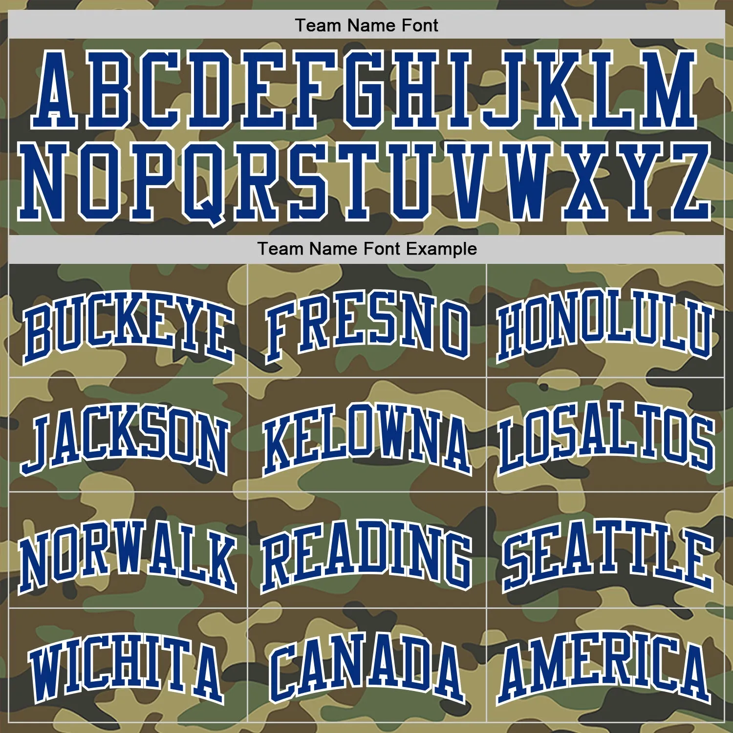 Custom Camo Royal-White Authentic Salute To Service Basketball Jersey