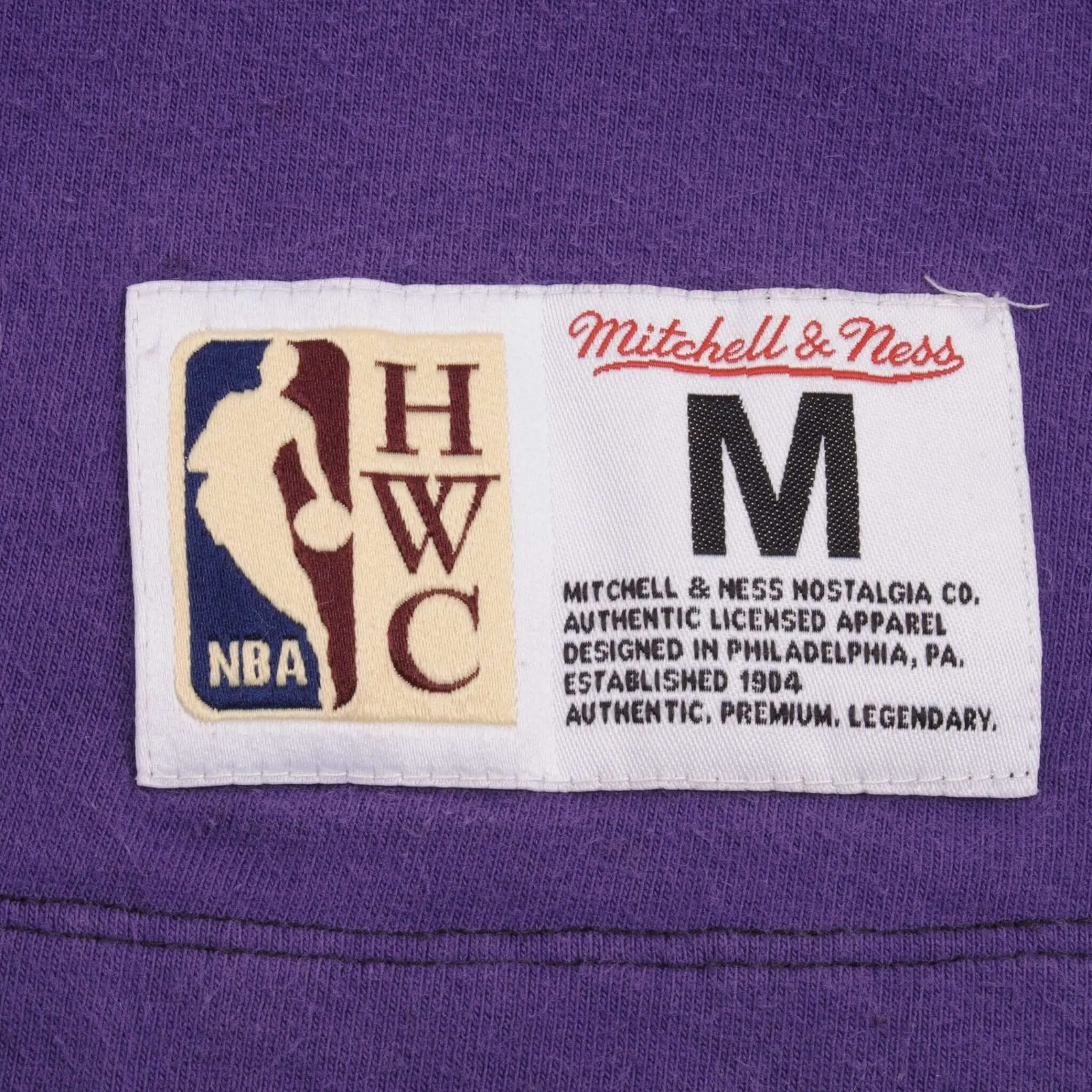 VINTAGE NBA LOS ANGELES LAKERS MITCHELL & NESS TEE SHIRT 2000S SIZE MEDIUM